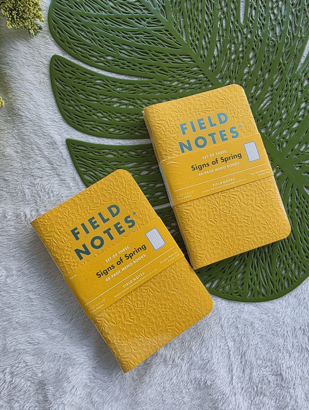 FIELD NOTES 'Signs of Spring' 3pack Memo Book - Price Per One